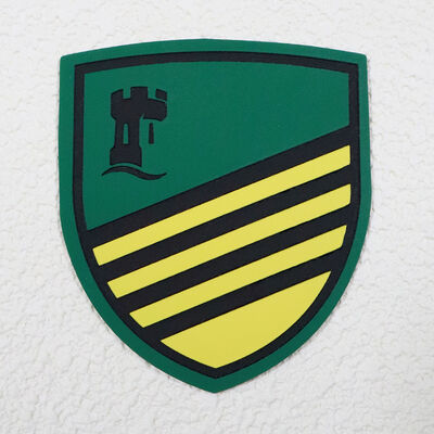 কাস্টম সিলিকন স্ক্রিন প্রিন্টেড লেবেল ওয়াটারপ্রুফ স্পোর্টসওয়্যার ও ইউনিফর্মের জন্য টেকসই লোগো ট্যাগ